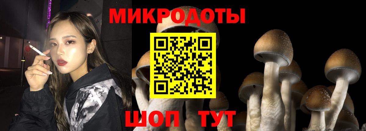 Галлюциногенные грибы Psilocybe  Вход с VPN  Нягань 